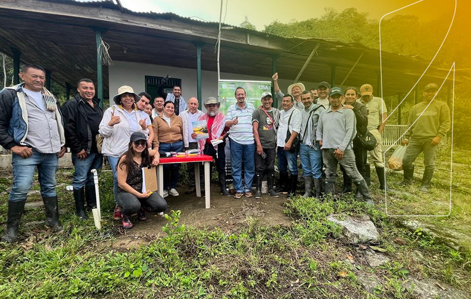 Activos para la paz y la vida