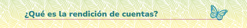 ¿Qué es la rendición de cuentas?